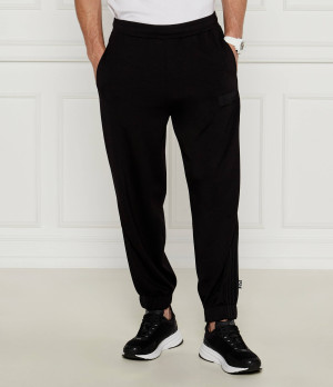 EA7 Spodnie dresowe | Regular Fit