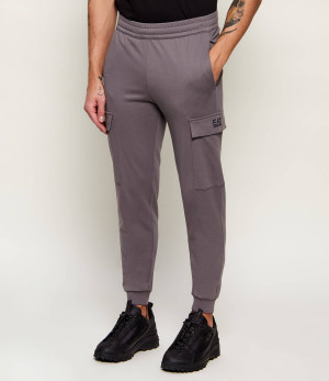 EA7 Spodnie dresowe | Slim Fit