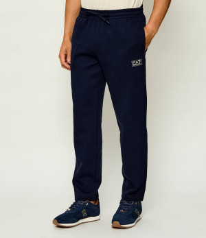 EA7 Spodnie dresowe | Regular Fit