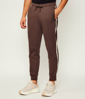EA7 Spodnie dresowe | Regular Fit
