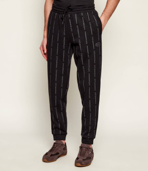 EA7 Spodnie dresowe | Regular Fit