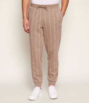 EA7 Spodnie dresowe | Regular Fit