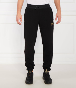 EA7 Spodnie dresowe | Regular Fit