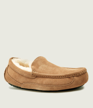 UGG Obuwie domowe M ASCOT | shearling | zamsz