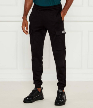 EA7 Spodnie dresowe | Regular Fit
