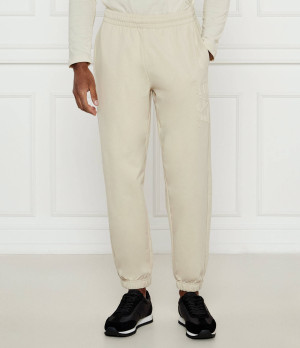 EA7 Spodnie dresowe | Regular Fit