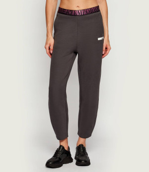 EA7 Spodnie dresowe | Regular Fit
