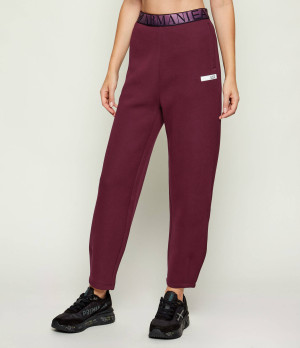 EA7 Spodnie dresowe | Regular Fit