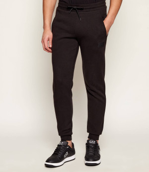 EA7 Spodnie dresowe | Regular Fit