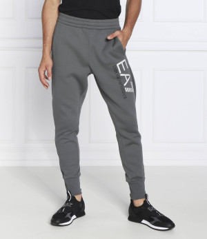 EA7 Spodnie dresowe | Regular Fit