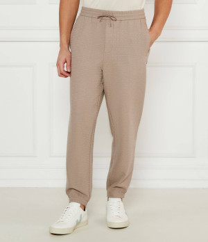 Emporio Armani Spodnie dresowe | Regular Fit
