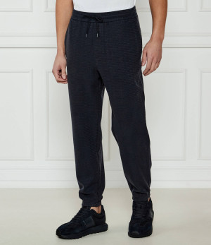 Emporio Armani Spodnie dresowe | Regular Fit