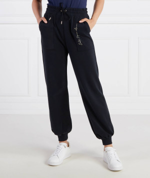 EA7 Spodnie dresowe | Regular Fit
