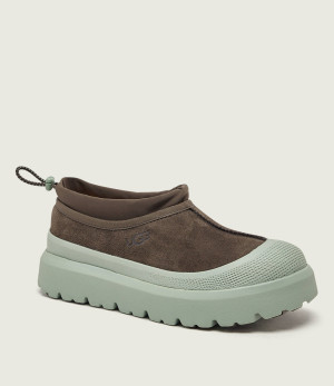 UGG Śniegowce TASMAN | zamsz