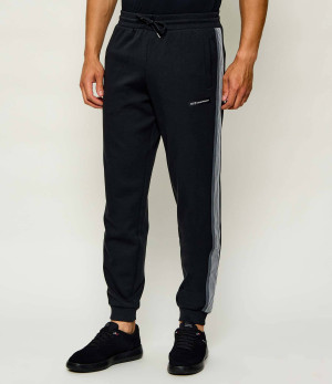 EA7 Spodnie dresowe | Regular Fit