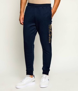 EA7 Spodnie dresowe | Regular Fit