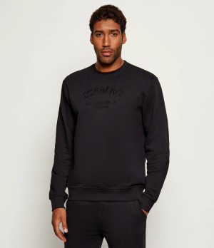Iceberg Bluza | Regular Fit