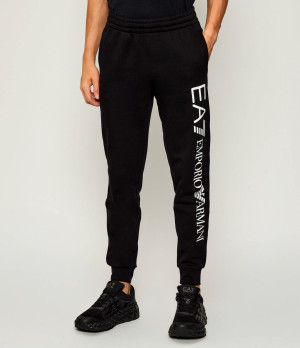 EA7 Spodnie dresowe | Slim Fit