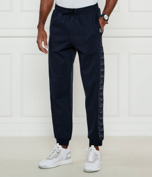 EA7 Spodnie dresowe | Regular Fit
