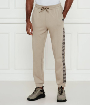 EA7 Spodnie dresowe | Regular Fit