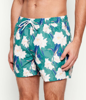 BOSS BLACK Szorty kąpielowe Iris | Regular Fit