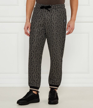 EA7 Spodnie dresowe | Regular Fit