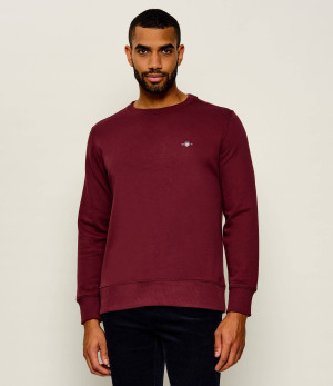 Gant Bluza | Regular Fit