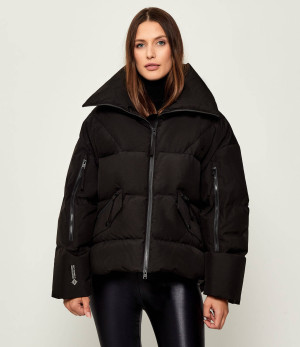 Woolrich Puchowa kurtka | z Gore-texem | Regular Fit