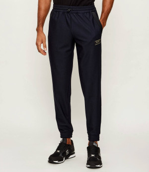 EA7 Spodnie dresowe | Slim Fit