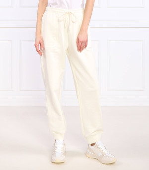 Trussardi Spodnie dresowe | Regular Fit