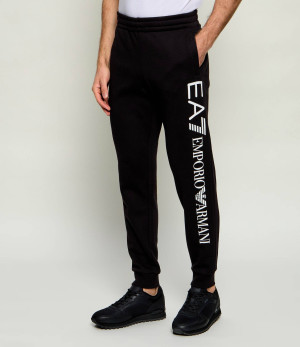 EA7 Spodnie dresowe | Regular Fit