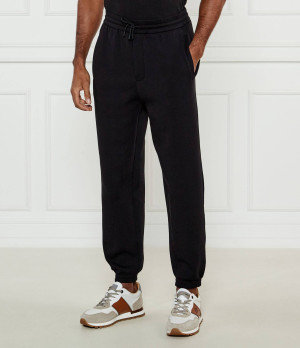 Emporio Armani Spodnie dresowe | Regular Fit