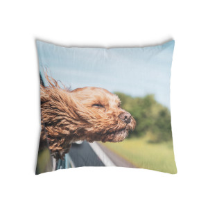 Oreiller Avec un chien dans une voiture