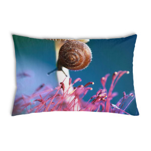 Oreiller Avec un champignon et un escargot