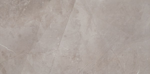 Tubądzin PTD MUSE silver 29.8x59.8 (1.07) PS-01-234-0298-0598-1-004
