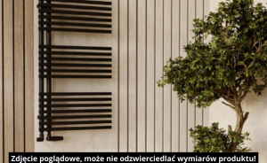 Luxrad TYP E Grzejnik elektryczny 883x500 biały TPE8835009003ERG