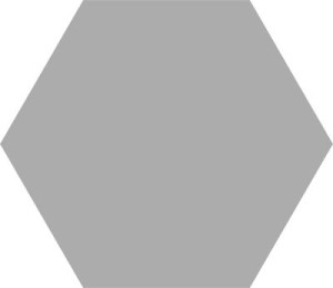 Codicer Pp HEX BASIC SILVER 25 22X25 G1 CO