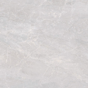 Emigres TRENTO GRIS 60X60 LAPPATO G.1 EG
