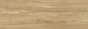 Bianca Pś DREAMWOOD GLOSSY RETT. 25x75 G.1 BC