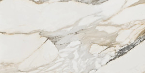 Stargres Pp CALACATTA GOLD POLER / SGR10-1 60x120 G.1 SG PR