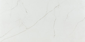Pamesa CR. DESERT NATURAL 60X120 POL. G1 PM