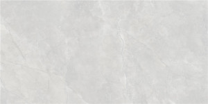Alaplana P.E. DALKEY GRIS SATINATO 60X120 REC. G1 AL