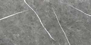Ecoceramic EC. THEATER GREY 60x120 SATYNA G1 EC