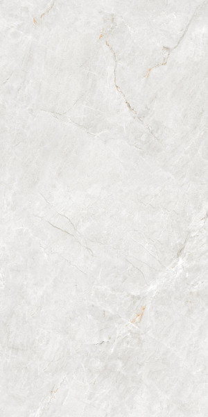 IMP 1 Pp FORESTER BIANCO 60X120 MATT+CARVING G1.IMP1