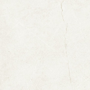 Ecoceramic AN.E.SOFT PILSE WHITE 100X100 G.1 EC