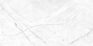 Egen płytki ROYAL VALENCIA SILVER GREY 60X120X8MM RECT (1,44) CARVING