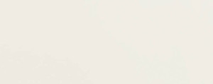 Tubądzin PTU ESSENT white 29.8x74.8 (1.34) PS-01-162-0298-0748-1-001