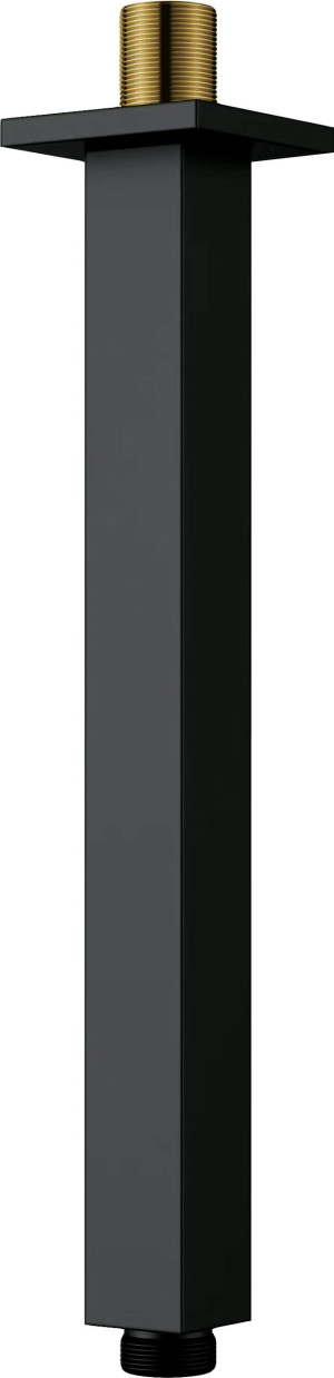 Deante Cascada Wylewka prysznicowa sufitowa - 250 mm NAC_N48K