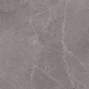 Cerrad PNG TIOGA 13 CIEMNOSZARY 597X597X8 (1,43)