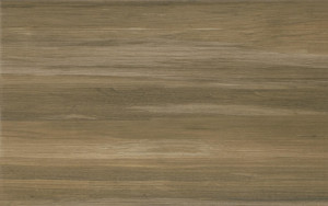 Cersanit PS207 brown 25x40 W403-002-1